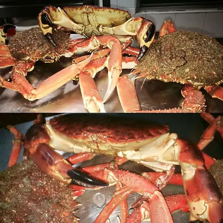 Ab Baretta 3* Legnaro