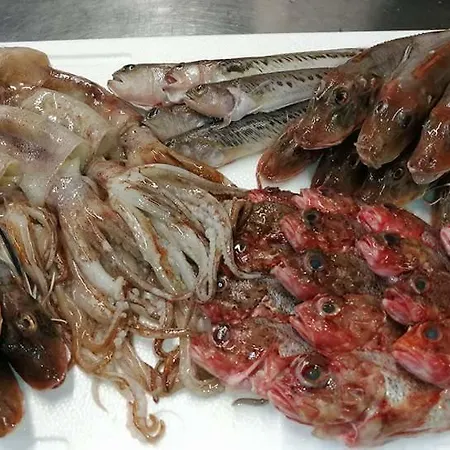 Ab Baretta 3* Legnaro