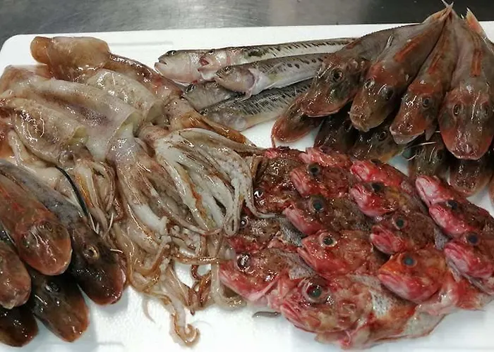 Ab Baretta 3* Legnaro