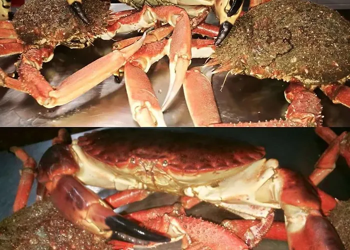 Ab Baretta 3* Legnaro